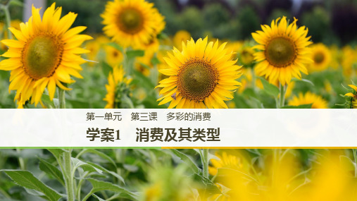 2018-2019高中政治新学案同步必修一江苏专用版课件：第一单元生活与消费第三课学案1