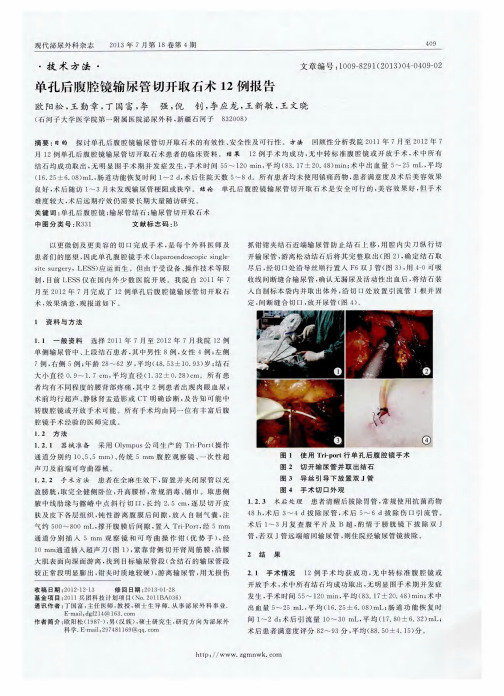 单孔后腹腔镜输尿管切开取石术12例报告