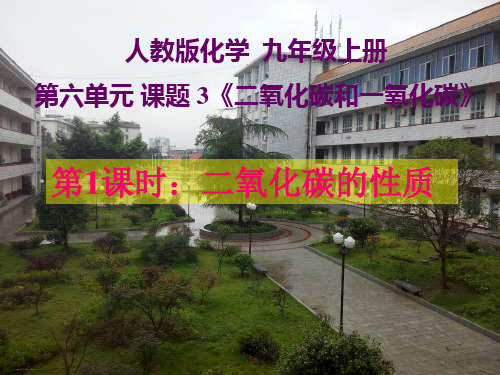 人教版化学《二氧化碳和一氧化碳》ppt2