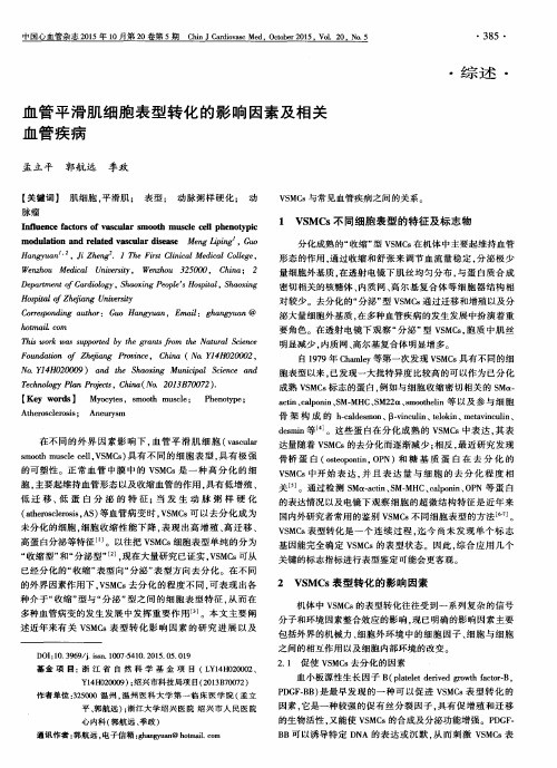 血管平滑肌细胞表型转化的影响因素及相关血管疾病