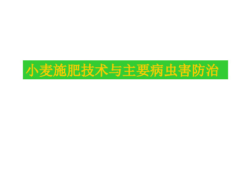 小麦施肥