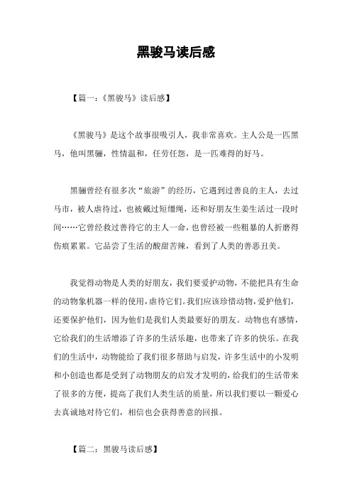 黑骏马读后感