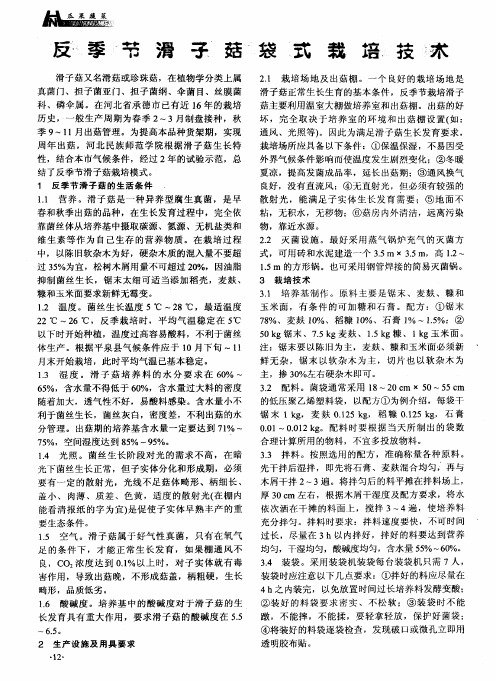 反季节滑子菇袋式栽培技术