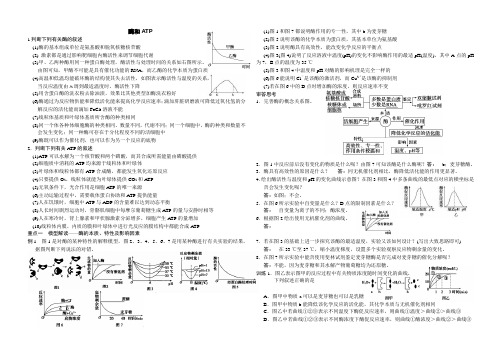 二轮复习-酶和ATP
