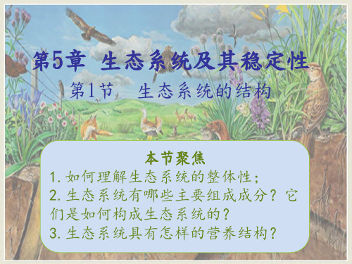 高中生物必修三课件-5.1  生态系统的结构