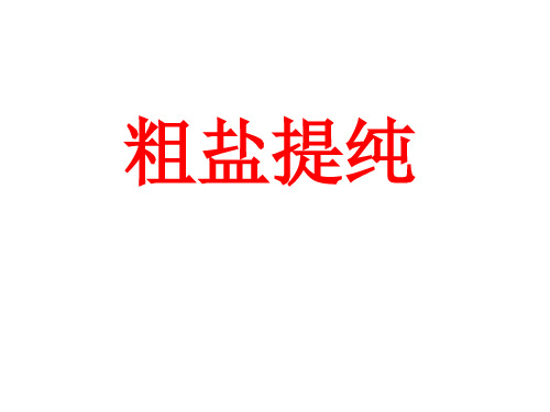 粗盐提纯课件