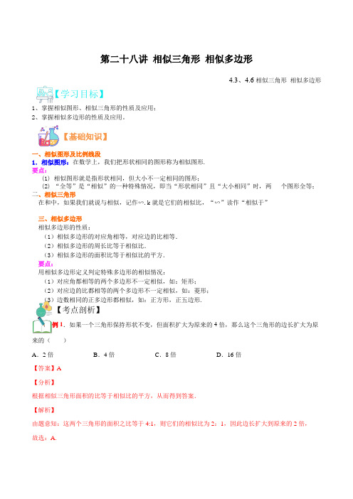 第二十八讲 相似三角形 相似多边形-2021年新九年级数学(浙教版)(解析版)