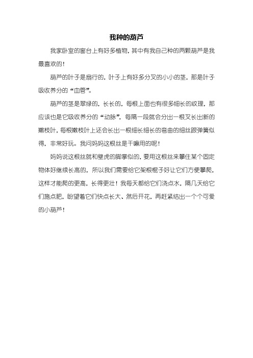 四年级作文：我种的葫芦作文300字