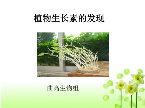 植物激素的发现ppt 精品课件