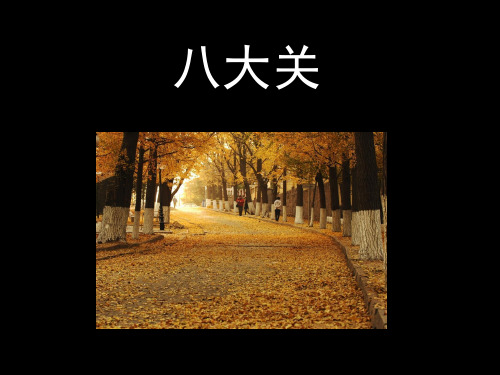 八大关 调查分析