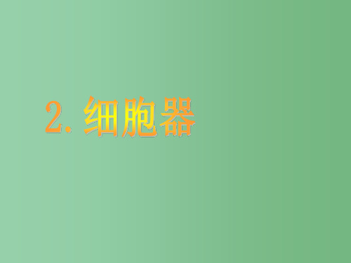 高中生物 第三章 第二节 细胞器课件 新人教版必修1