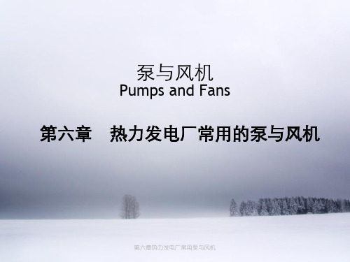 第六章热力发电厂常用泵与风机