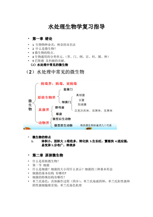 老师总结的水处理生物学复习指导要点重点详细