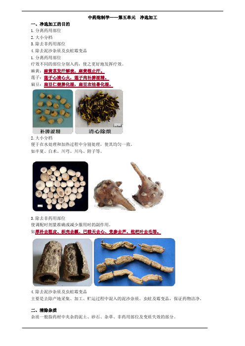 中药炮制学,第五单元,净选加工