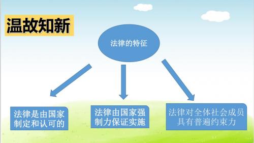 人教版《道德与法治》七年级下册 10.1 法律为我们护航 课件(共26张ppt)