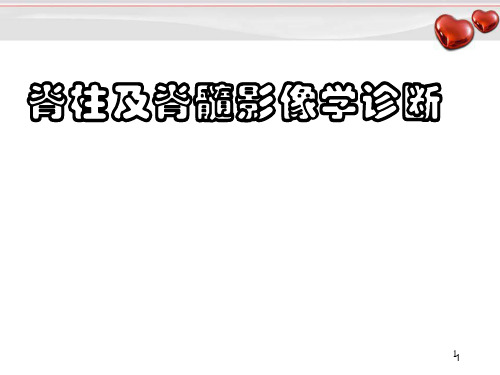 脊柱及脊髓影像学PPT精选课件
