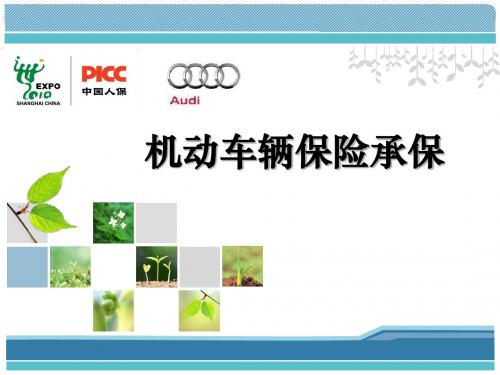 车险基础知识123456