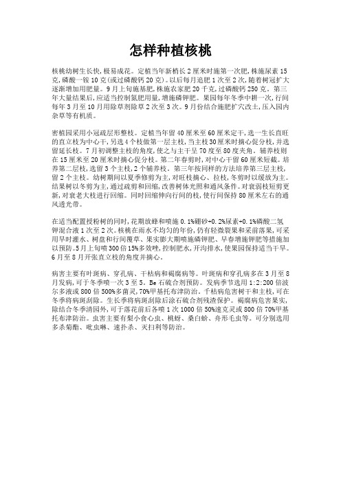怎样种植核桃