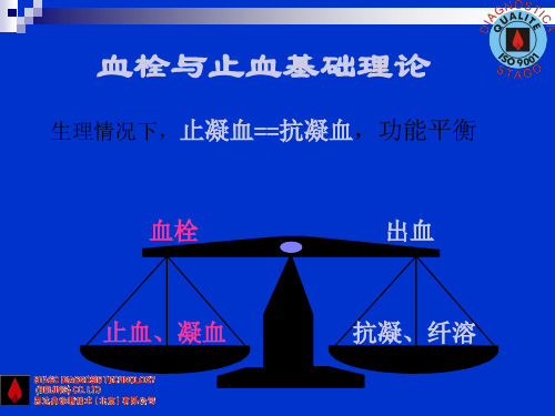 凝血基础