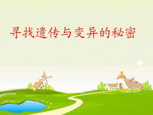 苏教版六年级科学二单元寻找遗传与变异的秘密