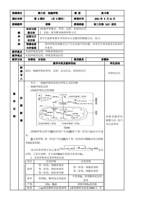 《细胞呼吸2》优秀教案