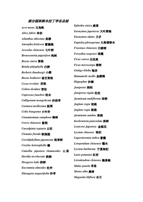 部分园林树木拉丁学名总结