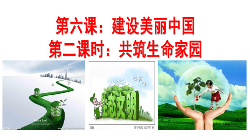 共筑生命家园-完整版PPT课件