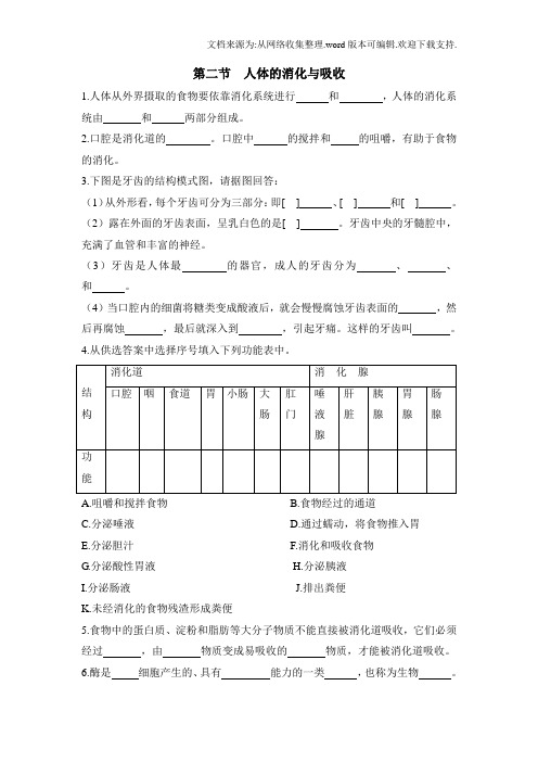 人体的消化和吸收同步练习