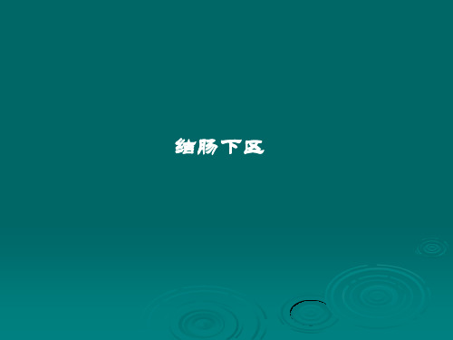 结肠下区腹膜后隙