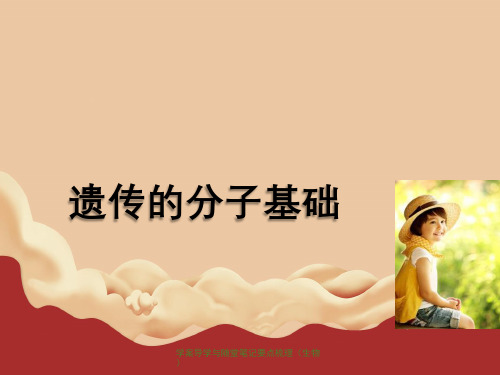 学案导学与随堂笔记要点梳理(生物)