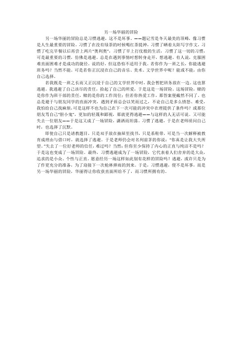 另一场华丽的冒险_初中作文