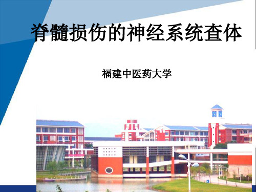 脊髓损伤的神经系统查体