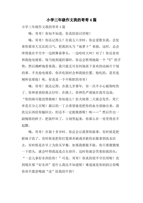 小学三年级作文我的哥哥4篇