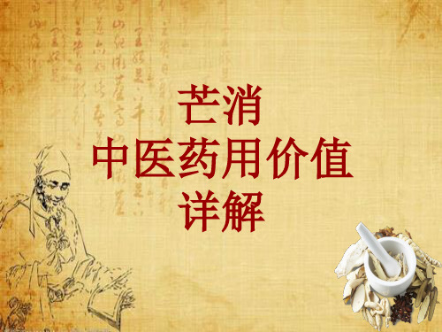 中药学_芒消_药材详解课件模板