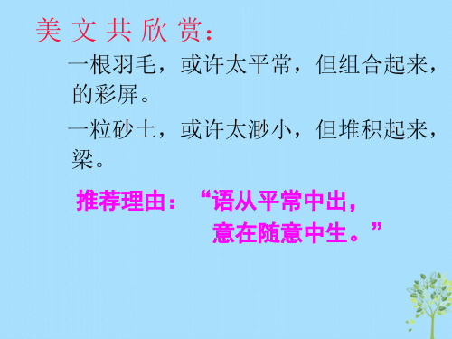 八年级语文上册第一单元作文叙事要完整ppt课件(人教版)-2019精选