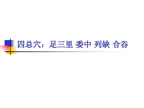 四总穴