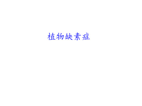 植物营养   植物缺素症状表现