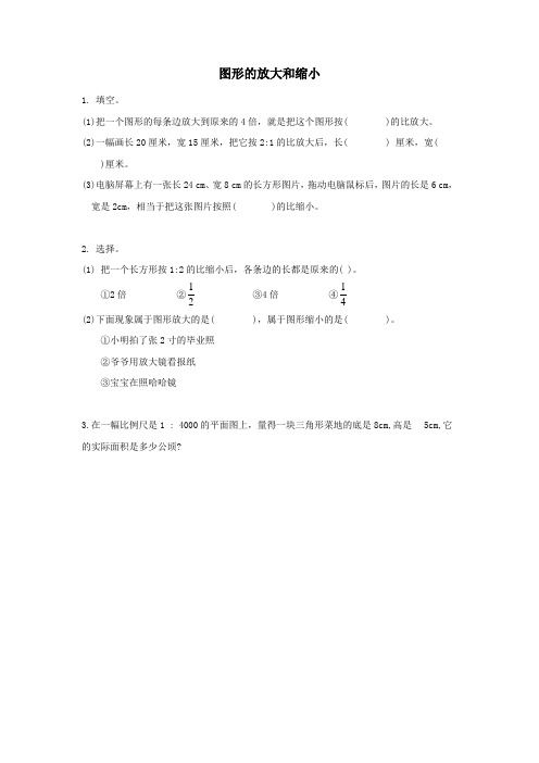 六年级数学下册第二单元比例第6课时图形的放大和缩小课堂精练北师大版