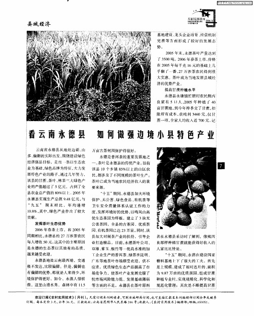 看云南永德县 如何做强边境小县特色产业