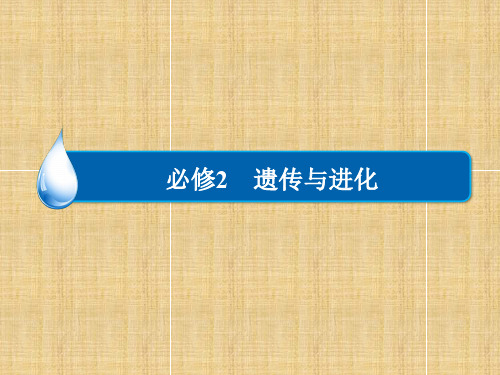 【金版教程】高考生物一轮复习精讲(最新考纲+核心考点)第七单元 第21讲 基因突变和基因重组名师精编课件 
