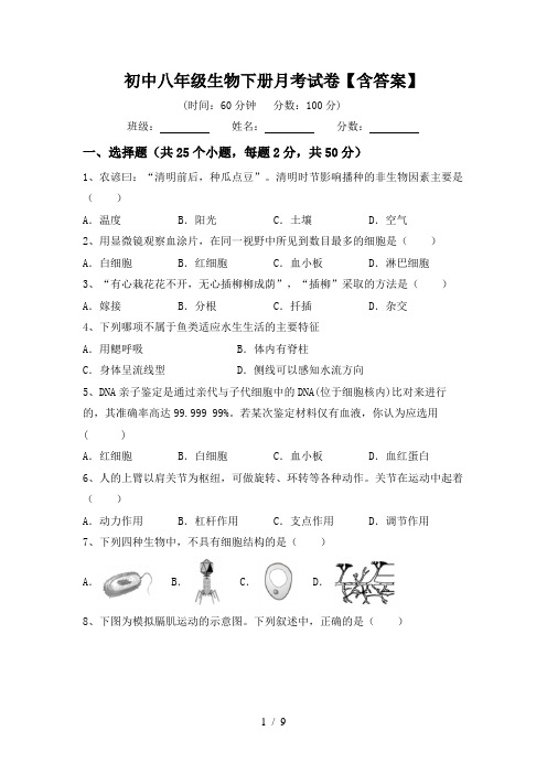 初中八年级生物下册月考试卷【含答案】