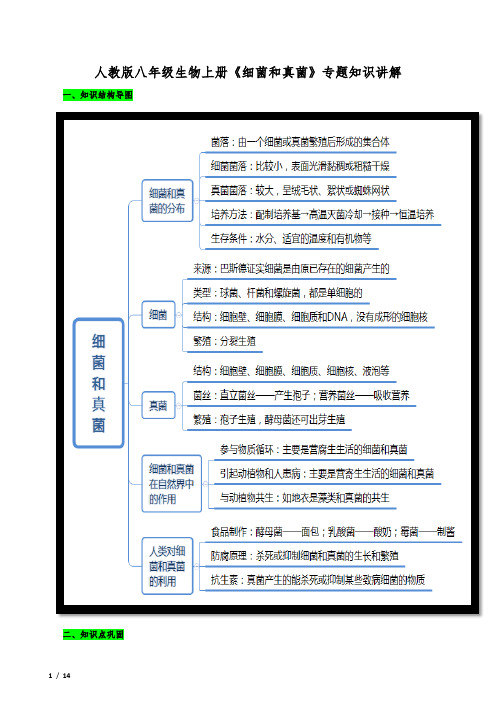 人教版八年级生物上册《细菌和真菌》专题知识讲解