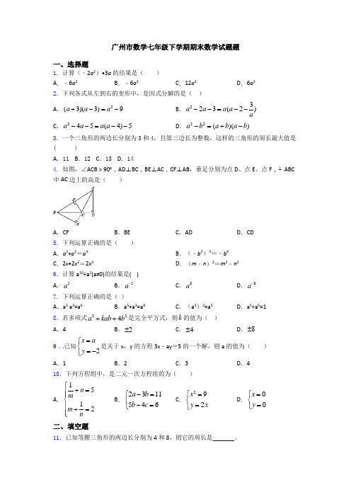 广州市数学七年级下学期期末数学试题题