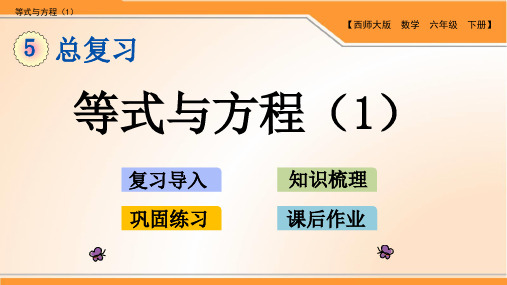 西师版小学数学六年级下册第五单元总复习《等式与方程》优质课件(2课时)