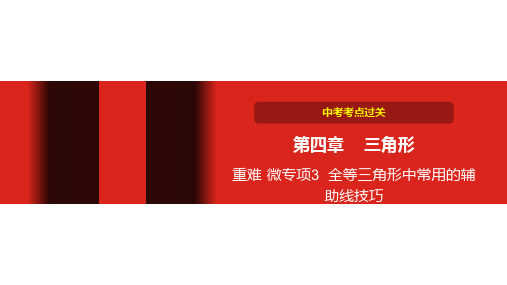 中考数学第四章 三角形 重难 微专项3  全等三角形中常用的辅助线技巧