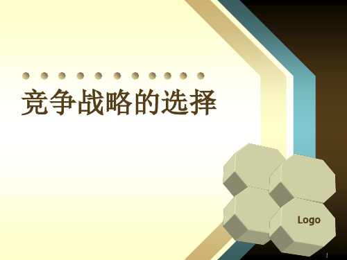 竞争战略的选择ppt课件