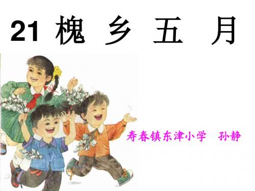 孙静《槐乡五月》