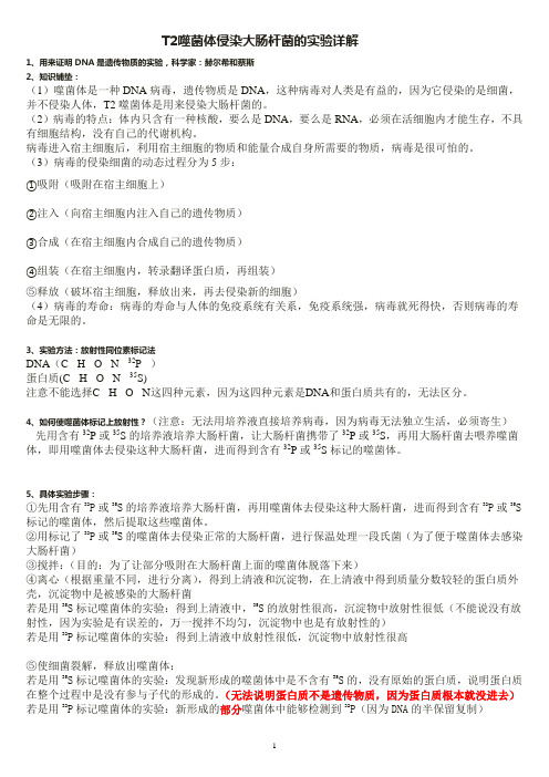 T2噬菌体侵染大肠杆菌的实验 详解