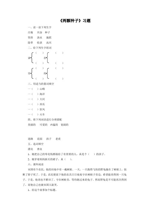 《两颗种子》习题2