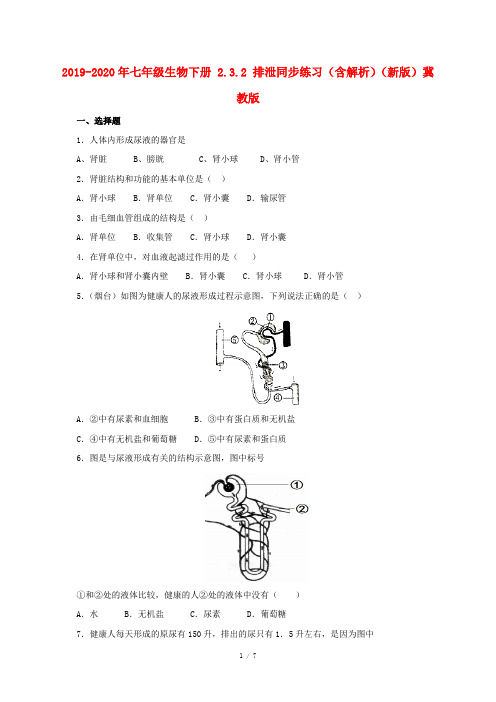 2019-2020年七年级生物下册 2.3.2 排泄同步练习(含解析)(新版)冀教版